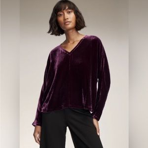 NWT Eileen Fisher
Silk Velvet V-Neck Long Dolman Sleeve Boxy Top